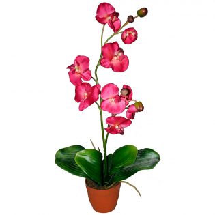 Орхидея в горшке «Розовая»